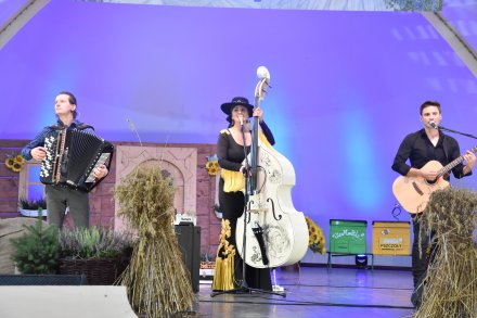 Koncert zespołu Megitza